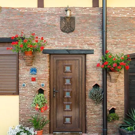 Brick * Bajina Basta